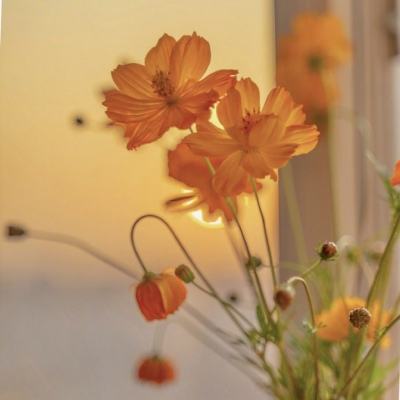 免费的行情网站app截图